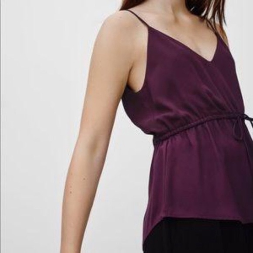 Babaton Warren Camisole (Maroon) from Aritzia